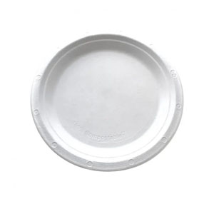 Bagasse Plate Round 7